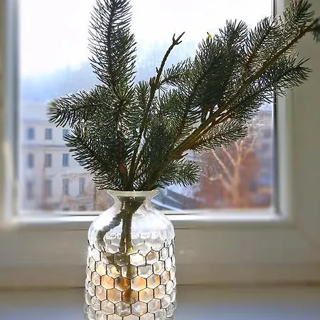 Castleview 아파트 류블랴나