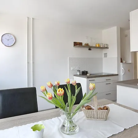 Castleview 아파트 류블랴나